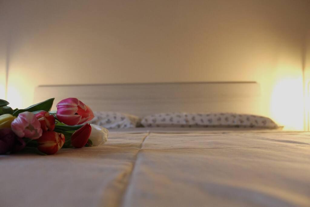 Venere Apartment بيرغامو المظهر الخارجي الصورة